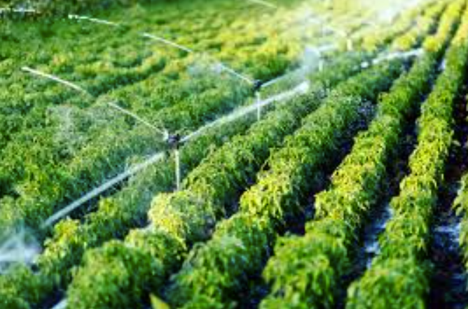 Automated Irrigation Systems and Smart Farming