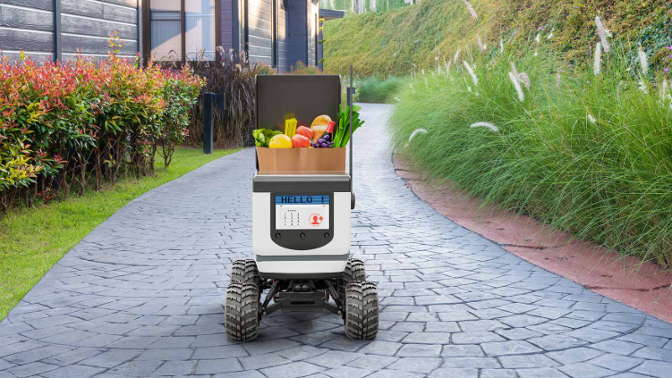 Autonomous Delivery Robots